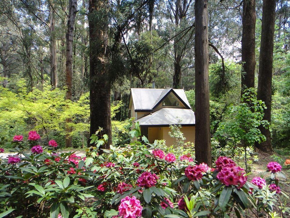 Lochiel Luxury Accommodation Olinda Exterior foto